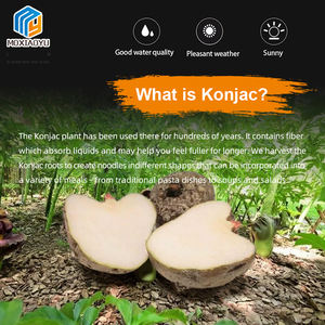 Grosir sampel gratis Keto Friendly <span class=keywords><strong>diabetes</strong></span> siap untuk makan Slimm makanan Konjac beras Shirataki beras kering - Product Image 5