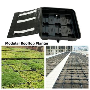 Fournisseur de plateaux de toiture écologiques modulaires, jardinières vertes pour la toiture, projets d'aménagement vert pour la maison et le jardin - Product Image 5