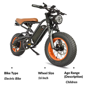 Bicicleta Eléctrica de Carretera de Largo Alcance con Motor sin Escobillas de 350W, Cuadro de Aluminio con Suspensión Completa, 48V 624Wh DP-1601, Sistema de 7 Velocidades - Product Image 4