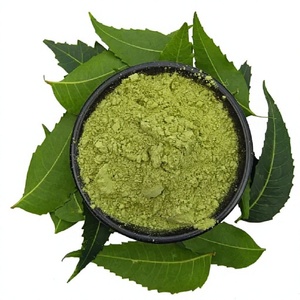 Poudre de Neem de Qualité Alimentaire Premium 250g, Poudre de Neem Naturelle à Mailles Fines, OEM ODM, Marque Privée, Vente en Gros, Qualité Export, Approvisionnement - Product Image 3