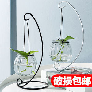 Hanging Glass <b>Vase</b> Pumpkin Shape Transparent Flower Pot For Living Room Decoration Simple Fresh Ornament - Product Image 5