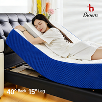 Matelas intelligent en latex au design moderne et simple, mobilier de chambre principale, luxe léger, matelas électrique multifonctionnel à levage électrique