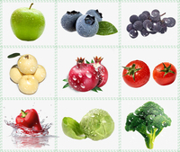 Commerciële industriële bubbelwas- en droogmachine voor fruit, avocado, mango, groenten en aardappelen