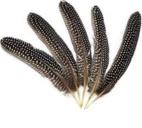 Plumes de poules-de-Inde teintées naturellement pour la décoration intérieure DIY et les mariages