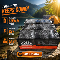 Batterie Lifepo4 12v 24v 48v 100ah 200ah 300ah 400ah 600ah avec BMS et contrôle par application, pour système solaire domestique, stock UE Ukraine