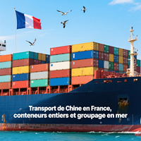 Service professionnel de transitaire porte à porte de Shanghai à Hambourg en Chine vers l'Allemagne FCL LCL Sea Shipping