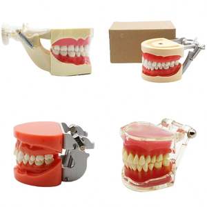Tapón Dental 2x Grande, Cepillo de Dientes de Plástico/Niti/Acero Inoxidable, Eléctrico/Manual, Empaque Individual, Clase I para Enseñanza - Product Image 5