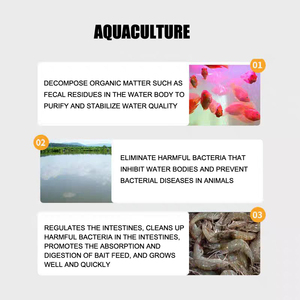 Bacillus licheniformis 100 <span class=keywords><strong>miliardi</strong></span> in aree agricole completamente idrosolubili sono resistenti alle colture pesanti e al controllo del marciume radicale - Product Image 5