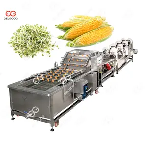 Gelgoog Corn Drying And Cleaning Machine Baby Vegetables Kangkong Pumpkin Washer Mushroom Washing Cleaning Machine