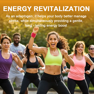 OEM ODM Prêt à expédier – Sachets de tisane aux huit herbes de ginseng, mélange naturel de maca, jujube et mûre, favorise l'énergie et la vitalité – 20 sachets - Product Image 4