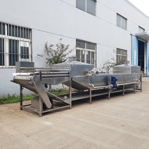 Máy Chần Rau Củ Công Nghiệp Máy Rử<span class=keywords><strong>a</strong></span> Và Nấu Bong Bóng Khử Trùng Bắp Cải Cà Rốt - Product Image 4