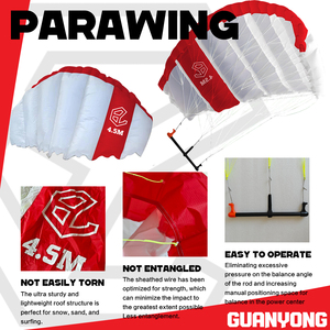 Parawing 4.5M Kitesurf pour eaux océaniques Unisexe Débutant Surf Planche à roulettes Enseignement Windfoil Parapente Planche de surf Downwind - Product Image 5