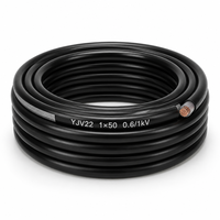 Câble électrique blindé en cuivre YJV22 0,6/1 kV 1 conducteur 50 mm² avec gaine en PVC pour projet de construction 1*50 mm²