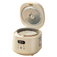 Mini cuiseur à riz 2L pour 3-4 personnes antiadhésif intelligent petit cuiseur à riz multifonctionnel fabricant d'usine
