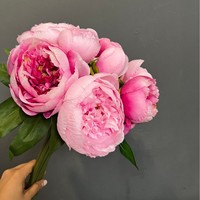 Bouquet de 8 pivoines artificielles en soie pour mariage, décoration de table, centre de table, événements, vente en gros