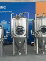 Cuve de Fermentation Unitank en Acier Inoxydable 304 de Haute Qualité 1000L avec Trappe Latérale pour Micro-Bière Artisanale