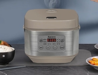 Cuisinière à riz multifonction intelligente 5L en plastique, alimentée par batterie, revêtement antiadhésif, contrôle numérique du minuterie, cuisson rapide pour 3 à 10 personnes