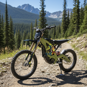 Motocicleta Eléctrica Todoterreno de Bajo Precio, Motor Cheapsurron, <span class=keywords><strong>Sutton</strong></span> Light Bee X Todoterreno, Light Bee X 2026 - Product Image 3