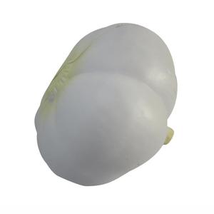 Balle anti-stress aromatique naturelle personnalisée en forme d'<span class=keywords><strong>ail</strong></span>, avec logo imprimé, cadeau promotionnel pour la cuisine ou le bureau, jouet à presser pour la relaxation - Product Image 2
