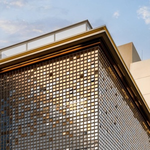 Exterieur Decoratie Mode Wind Gedreven Vliesgevel Aluminium Wandpaneel Buitenwand Bekleding Buitenkant Voor Winkelcentrum Hotel