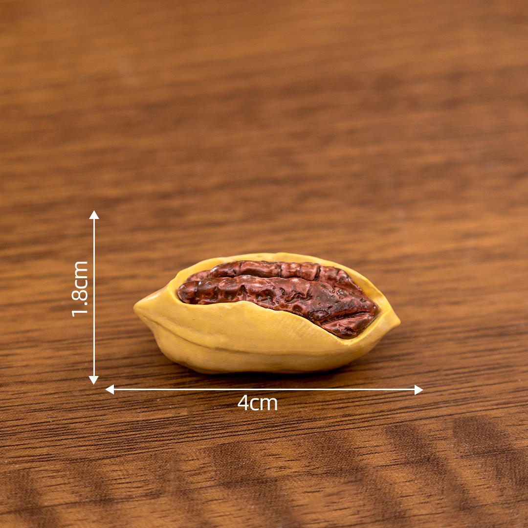 4-fruits de la racine verte pelée Shell