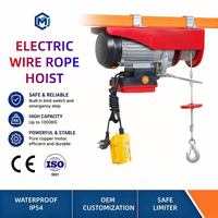 Mini palan électrique sans fil monophasé 110V 220V à faible bruit et longue durée de vie, capacité 800 kg, pour atelier et atelier d'entretien