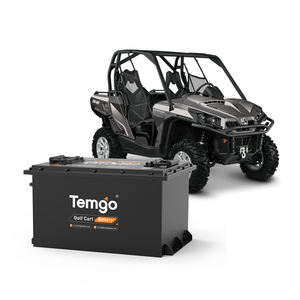 Аккумулятор TEMGO LiFePO4 для гольф-каров, литиевый, 100 Ач, 48В, 72В, 36В для электромобилей - Product Image 1