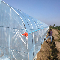 Grandes serres agricoles en film plastique à simple travée avec système d'irrigation par pulvérisation/goutte-à-goutte, marque Bafangle