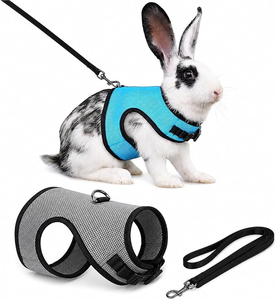 Conjunto de Arnés y Correa para Conejos, Ligero y Transpirable, Paquete de 2 - Product Image 1