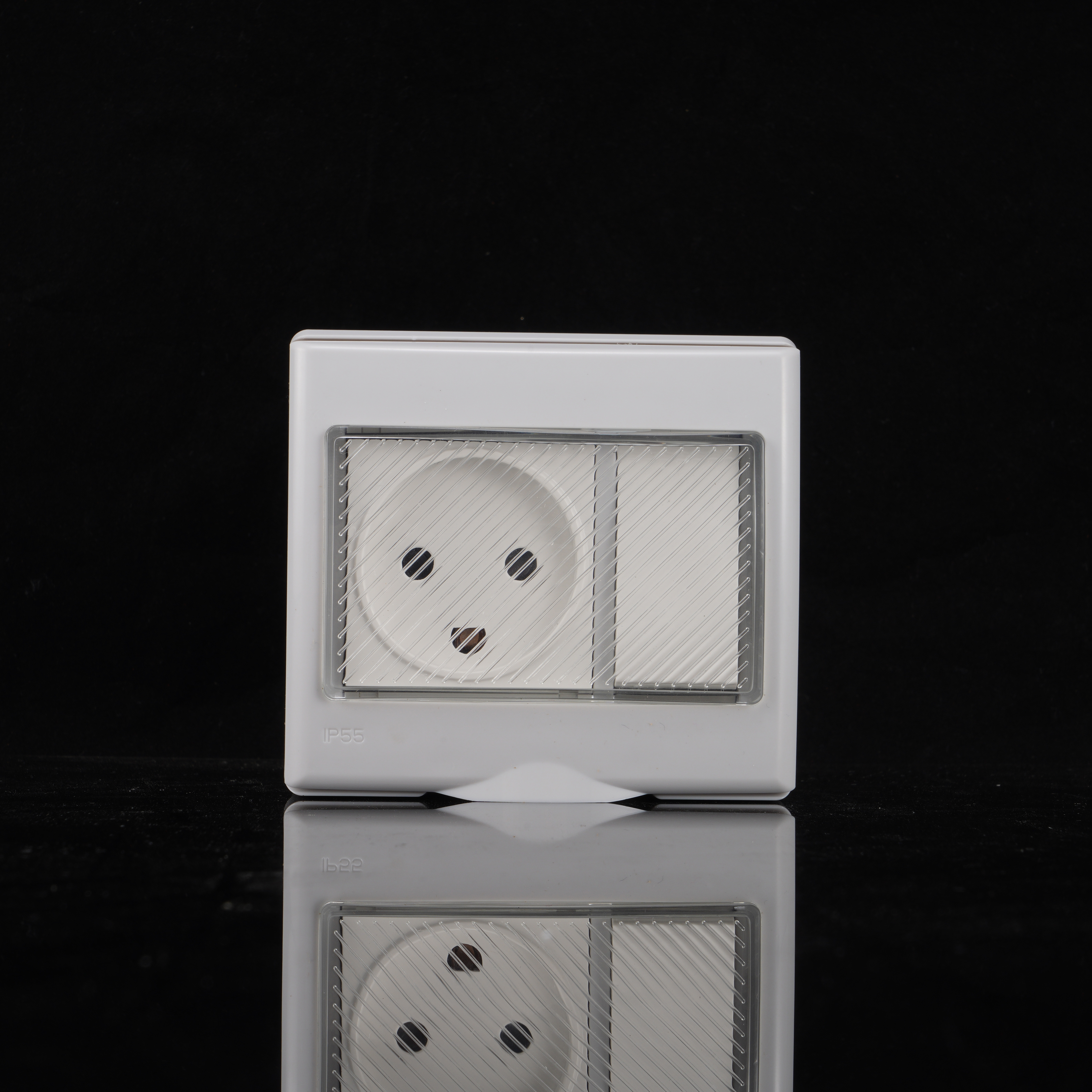1 socket+1 switch