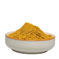 Meilleure vente de poudre de pigment de couleur Pigment d'oxyde de fer pour briques ou carreaux de couleur