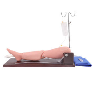 หุ่นจำลองทางการแพทย์ PVC ขนาดเท่าคนจริง ทนทาน สำหรับฝึกทักษะทางคลินิก การเจาะไขกระดูกและการเจาะเลือด DARHMMY - Product Image 1