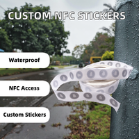 Etiquetas de Tarjeta de Visita con Código QR NFC RFID de 13.56MHz Personalizadas, Resistentes al Agua, Control de Acceso UID Bloqueo 1K Byte DMT02 Sin Marca