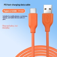 Câble de données USB Type-C orange en TPE à charge rapide, compatible avec les téléphones mobiles, longueur 1 mètre, en stock usine