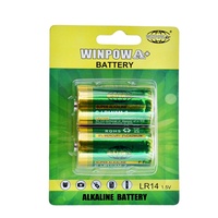 Batterie alcaline WinPow c LR14 c Batterie 6800mAh Capacité AM2