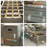 Industriële bubbelwasmachine voor fruit en groenten, tomatenwasmachine