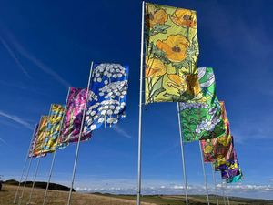 Bandera de Plumas Personalizada al por Mayor, Kit de Bandera para Festivales, Mástil de Aluminio para Publicidad Exterior, para Promoción Empresarial - Product Image 3