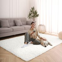 2025 Chine usine en gros hôtel fausse fourrure tapis et PV en peluche tapis pour salon Shaggy moelleux tapis tapis tapis