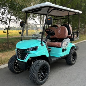 Carrito de Golf Eléctrico Todoterreno, <span class=keywords><strong>Buggy</strong></span> de Golf con Batería de Litio de 72v, Carrito de Golf Homologado para Calle para 6 Personas, para Adultos - Product Image 4