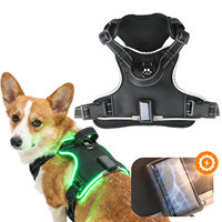 Özelleştirilebilir Rahat Nefes Alabilen LED Işıklı Köpek Yeleği Yansıtıcı Hava Geçirgen Tasarımlı Çekişsiz Dış Mekan Güneş Enerjili Şarj Edilebilir Tasarım