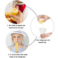 Sucette glacée jetable sans BPA personnalisé transparent de qualité alimentaire Tubes de Popsicle moule paquet de sac à fermeture éclair pour bébé aliments et boissons