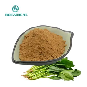B.C.I Supply China Spinach Powder Pure Nature Spinach Extract 10% Ecdysterone