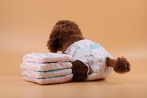 Pañales Desechables para Perros Hembras YOfoke, Certificación ISO9001, OEM, Alta Absorbencia, Protección Contra Fugas, Transpirables, Hechos de Algodón - Product Image 3