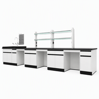 Armoire murale de laboratoire de chimie en acier avec plan de travail en résine phénolique noire, étagère à réactifs, pour laboratoire scolaire et atelier pédagogique