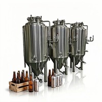 Fermenteur cylindroconique 1000L, cuve à bière 500L, équipement de brasserie artisanale, fermenteur pour bière artisanale