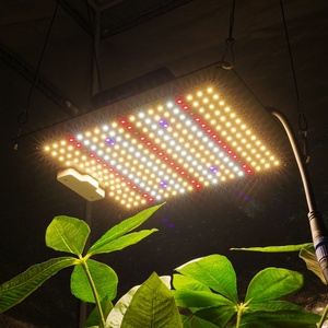 Lámpara de Cultivo LED Quantum de Espectro Completo de 300W con Control Inteligente y Chip 3030C para Cultivo Legal de Pimientos y Fresas - Product Image 4