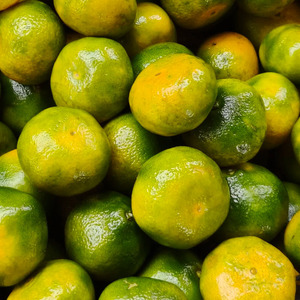 Mandarini Dolci Freschi, Succosi e Facili da Sbucciare, Frutta Agrumata di Qualità Premium, Fornitura all'Ingrosso per Importatori Internazionali - Product Image 3