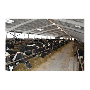 A basso costo prefabbricato caseificio della mucca caseificio struttura in acciaio mungitura capra fattoria edificio per la vendita - Product Image 3