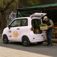SumEV, Mini Vehículo Eléctrico Urbano y Elegante, 60V 100AH, Llantas de Aleación, Pantalla Inteligente de 9 Pulgadas, 100KM de Autonomía, para Conductores Jóvenes de Ciudad