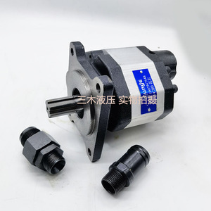 Luosheng Hydraulic Gear Pump CB FC80 350 Bar 1 Stage <b>Cast</b> Iron Electric Rotary Pump - Product Image 4